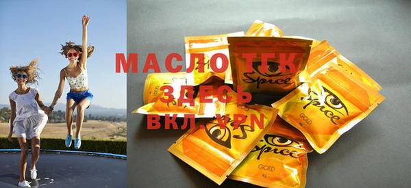 твердый Снежногорск